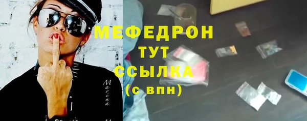 прущие грибы Абаза