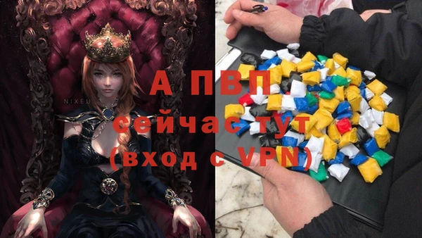 ПСИЛОЦИБИНОВЫЕ ГРИБЫ Тавда