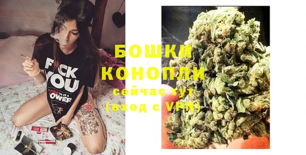 сатива Тихвин