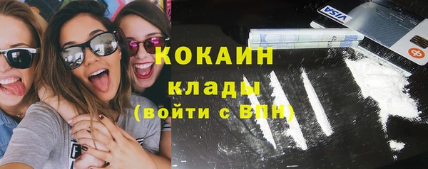 прущие грибы Абаза
