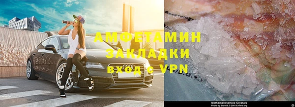 прущие грибы Абаза