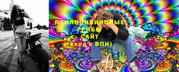 а пвп мука Тайга