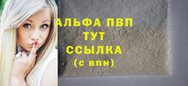 прущие грибы Абаза